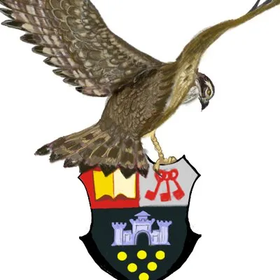 greyhawkonline.com's icon