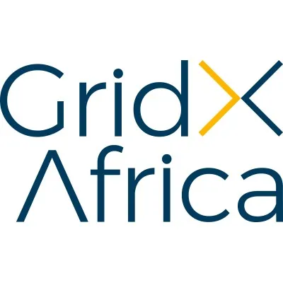 gridxafrica.com's icon