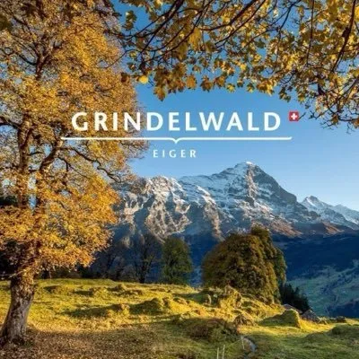 grindelwald.swiss's icon
