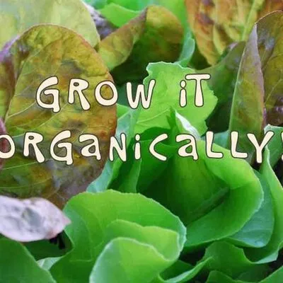grow-it-organically.com's icon