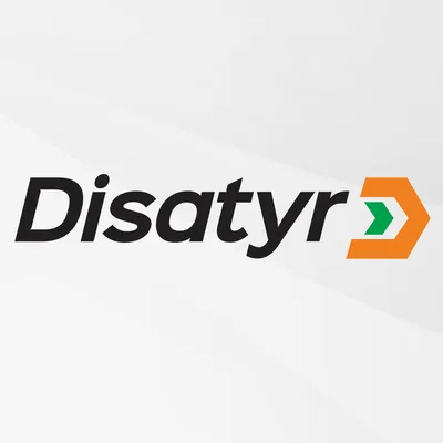 grupodisatyr.com's icon