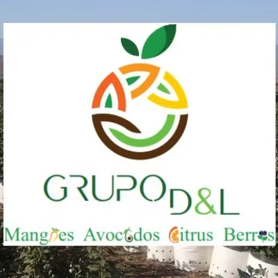 grupodyl.com's icon