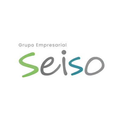 grupoempresarialseiso.com's icon