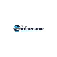 grupoimpecable.com's icon