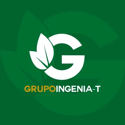 grupoingeniate.com's icon