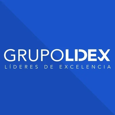 grupolidex.com's icon