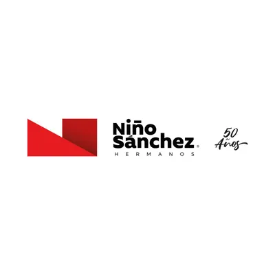 gruponinosanchez.com's icon
