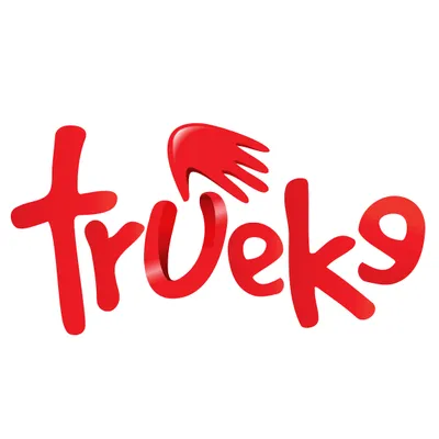grupotrueke.com's icon