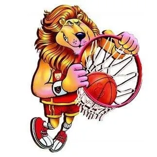 gsbasket.org's icon