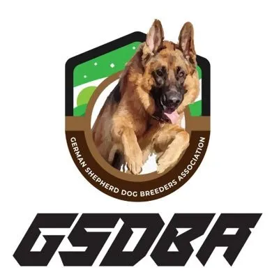gsdba.org.ng's icon