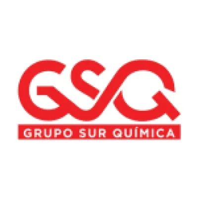 gsqinnovacion.com's icon