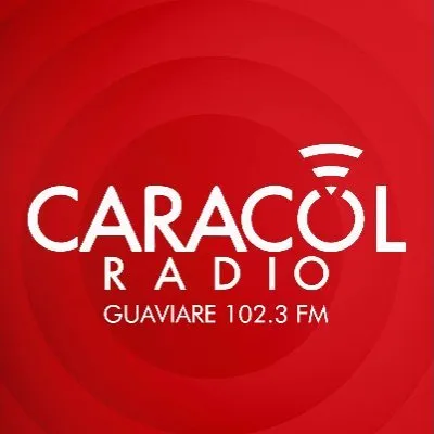 guaviareestereo.com's icon