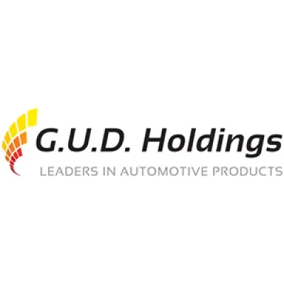 gudholdings.co.za's icon