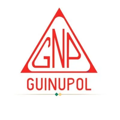 guinupol.net's icon