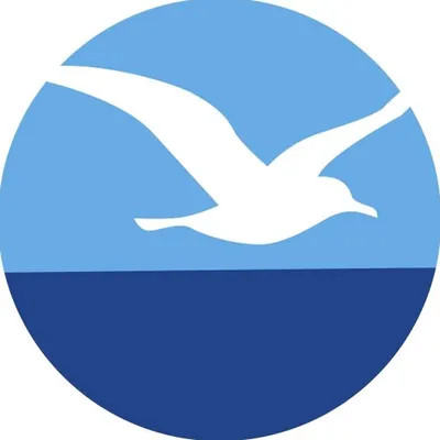 gullair.com's icon