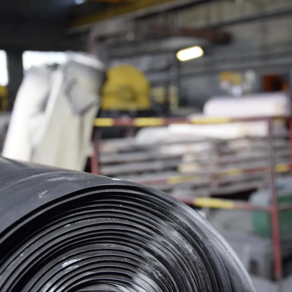 Zakłady Przemysłu Chemicznego Spółdzielnia Pracy Gumoplast W Sulęcinie Cooperative