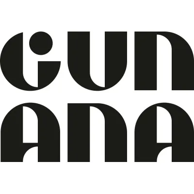 gun-ana.com's icon