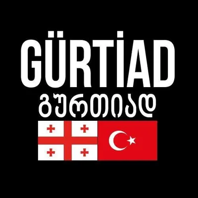 gurtiad.ge's icon