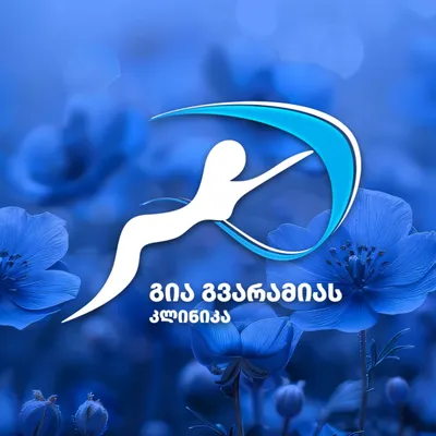 gvaramia.com's icon
