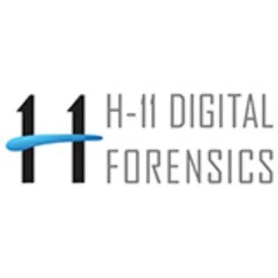 h11dfs.com's icon