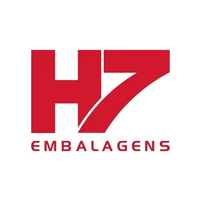 h7.com.br's icon