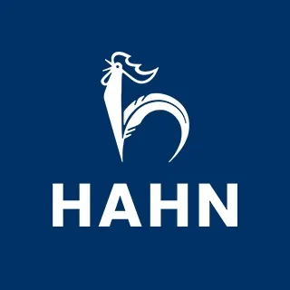 hahn-gruppe.de's icon
