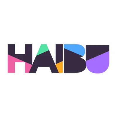 haibu.nl's icon