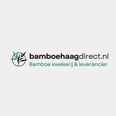 haiedebamboudirect.be's icon