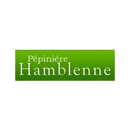 Hamblenne's icon