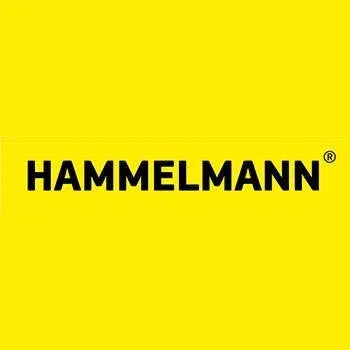 hammelmann.com's icon