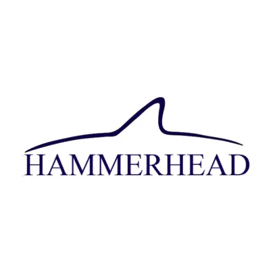 hammerheadfin.com's icon