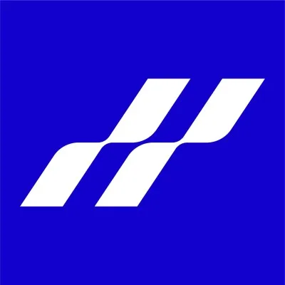 hammockheli.com's icon