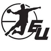 handballfast.com's icon