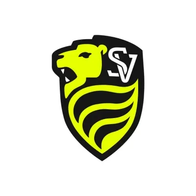 handballleonberg.de's icon