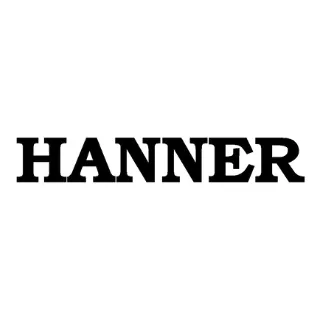 hanner.lt's icon