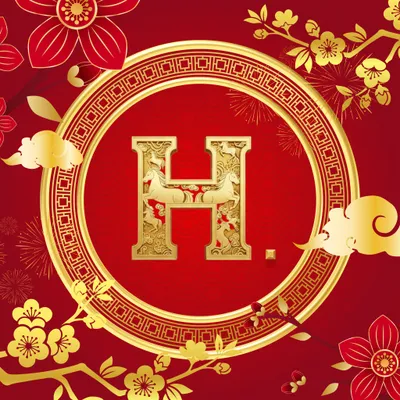 hansemvietnam.com's icon
