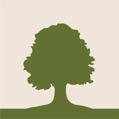 happenfilms.com's icon
