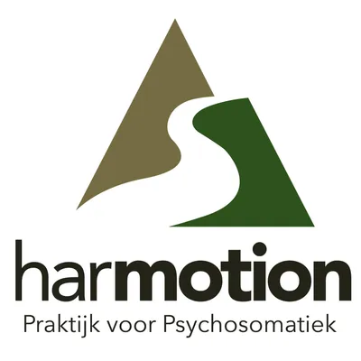 harmotion.nl's icon
