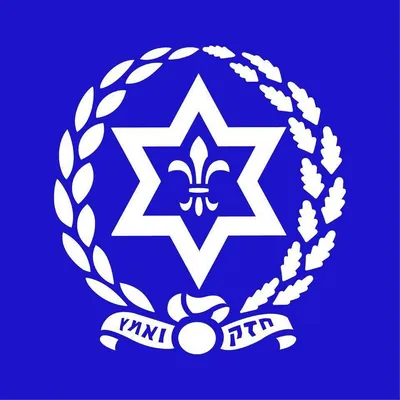 hashomer-hatzair.org's icon