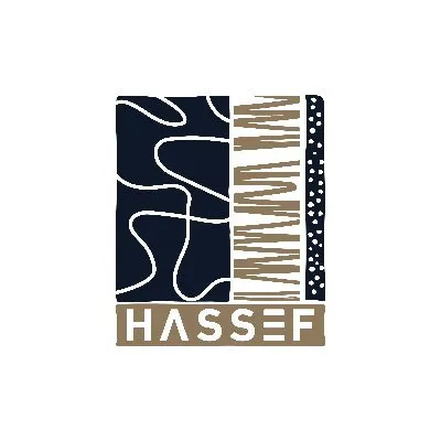 hassef.com's icon