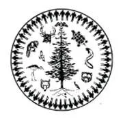 haudenosauneeconfederacy.com's icon