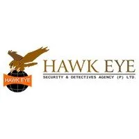 hawkeyedetective.com's icon