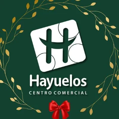 hayueloscc.com's icon