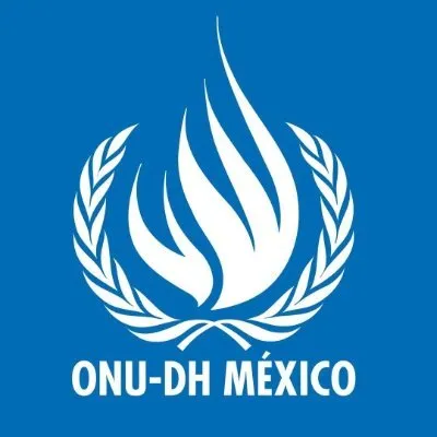 hchr.org.mx's icon
