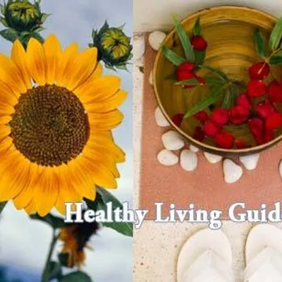 healthhelpzone.com's icon