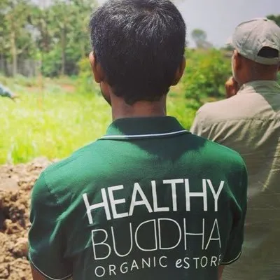 healthybuddha.in's icon