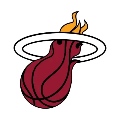 Miami Heat's icon