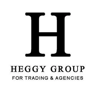 heggygroup.com's icon