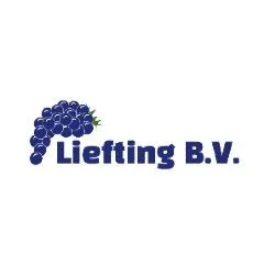 henkliefting.nl's icon