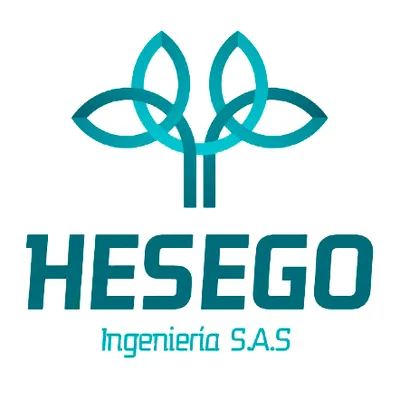 hesegoingenieria.com's icon
